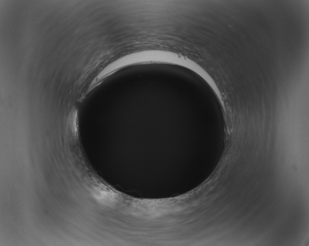 X0000078270041200611031154