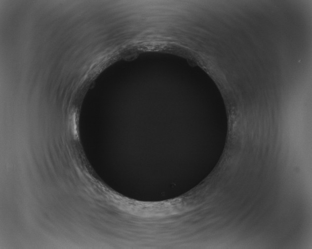 X0000078270042200611031154