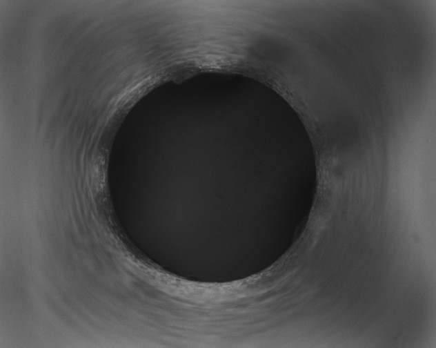 X0000078270043200611031154