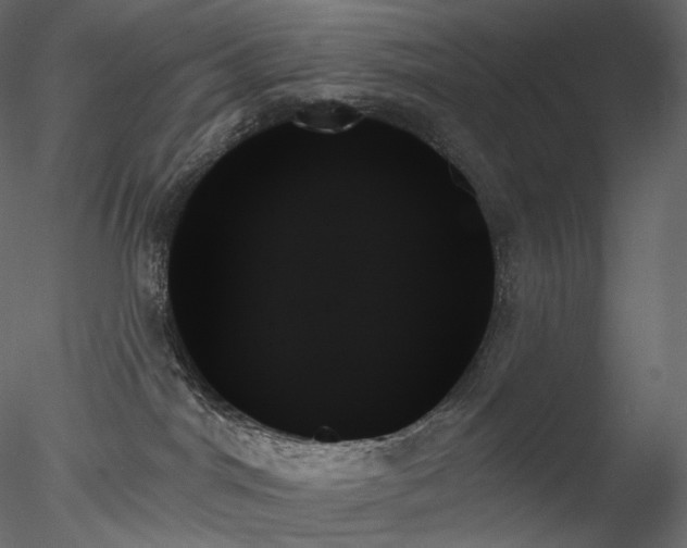 X0000078270044200611031154