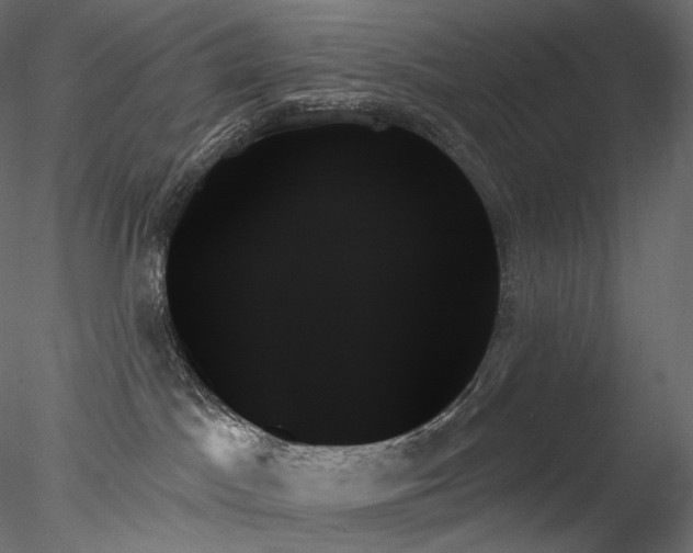 X0000078270045200611031154