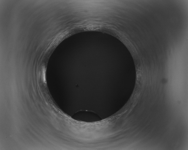 X0000078270046200611031154