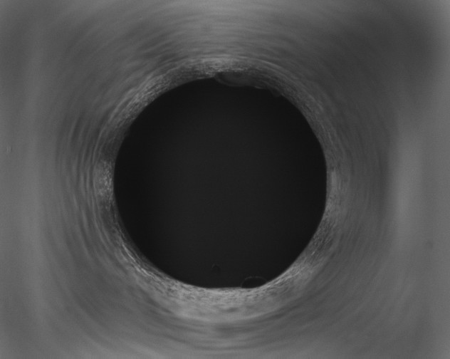 X0000078270048200611031154