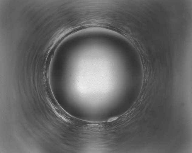 X0000078270050200611031153
