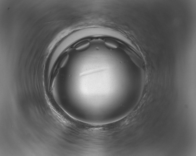 X0000078270054200611031153