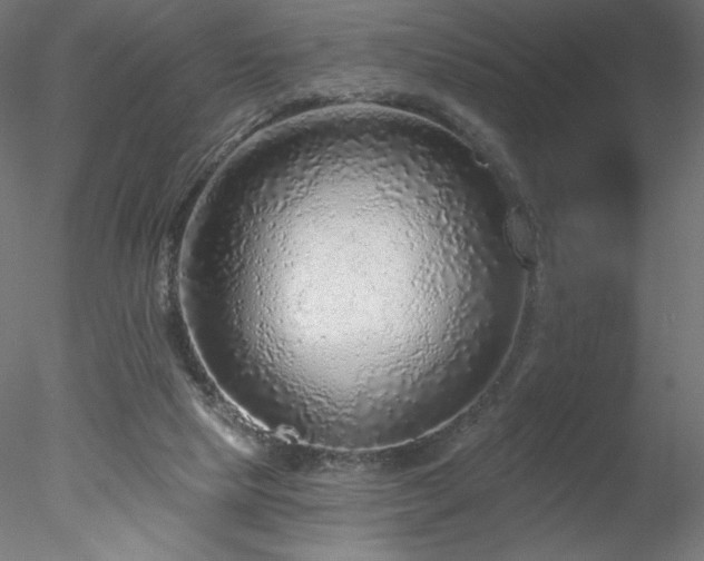 X0000078270065200611031153
