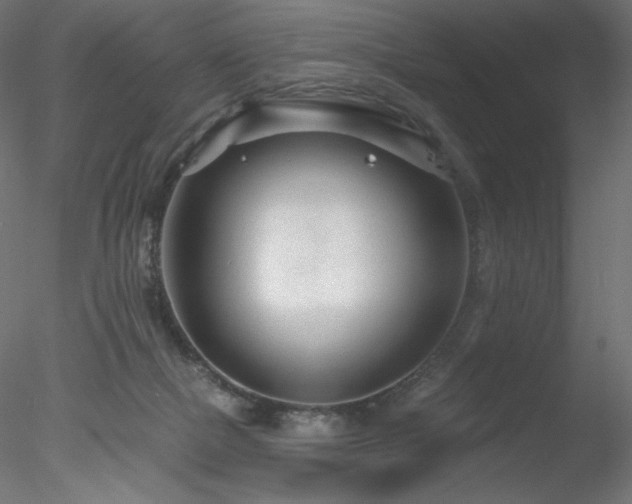 X0000078270073200611031153