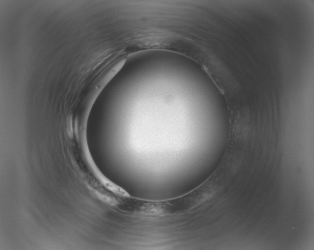 X0000078270076200611031153