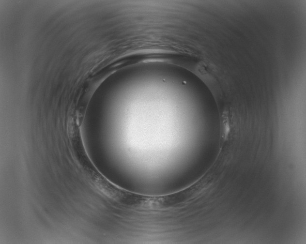 X0000078270080200611031153