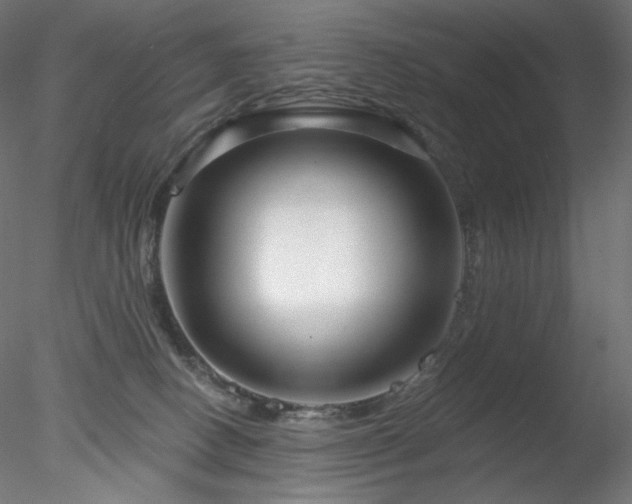X0000078270082200611031153