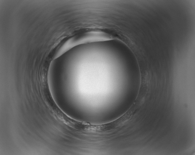 X0000078270084200611031153