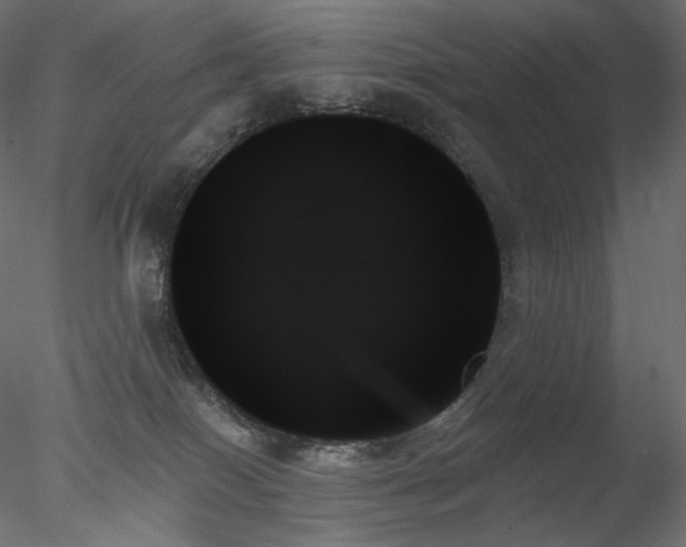 X0000078270086200611031153