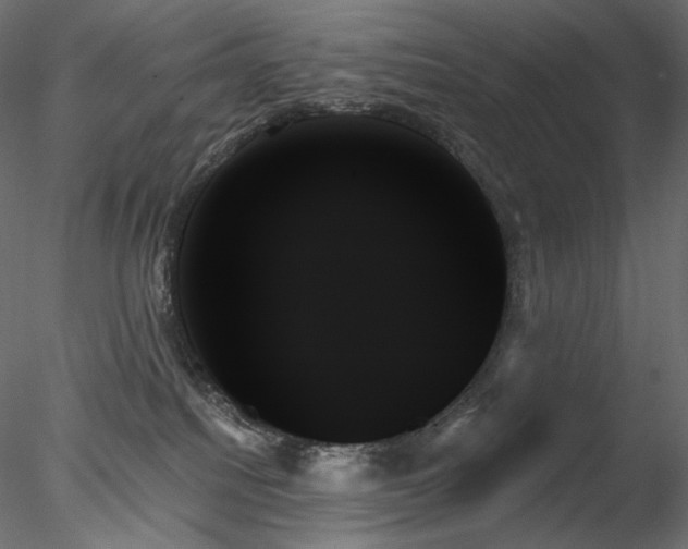 X0000078270088200611031153