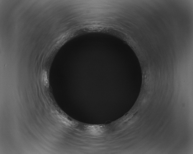 X0000078270089200611031153