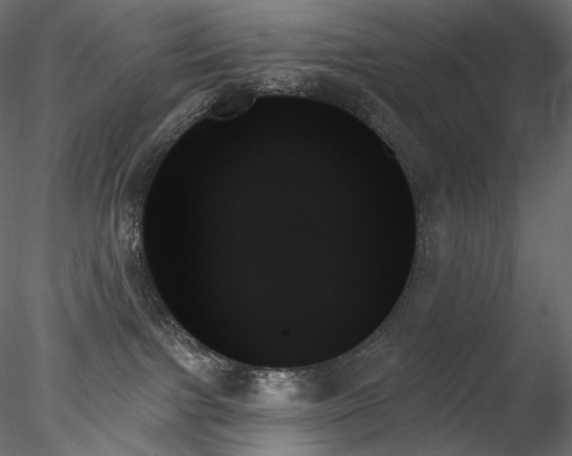 X0000078270091200611031153