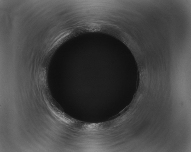 X0000078270092200611031153