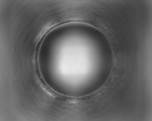 X0000078270098200611031153
