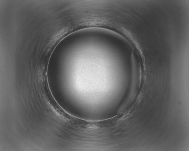 X0000078270105200611031153