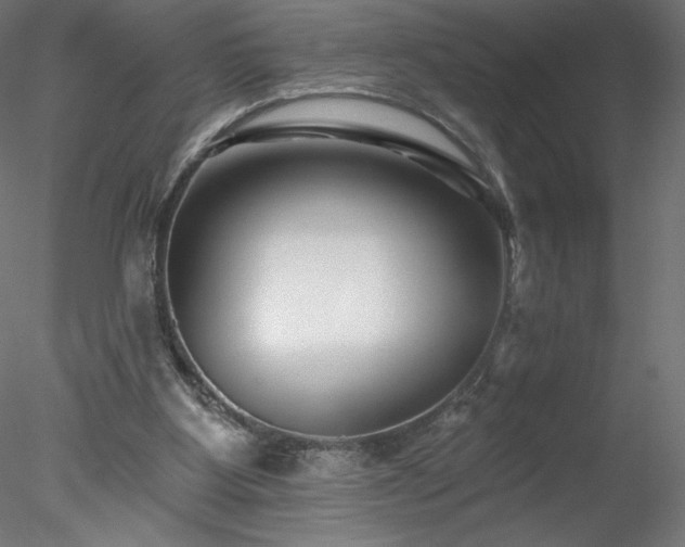 X0000078270107200611031153