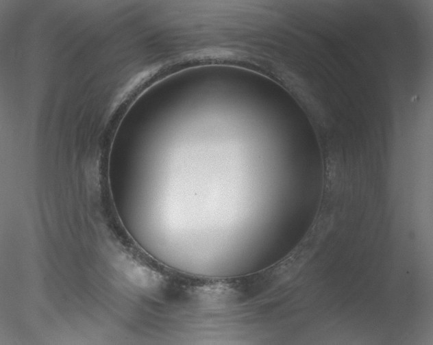 X0000078270112200611031152