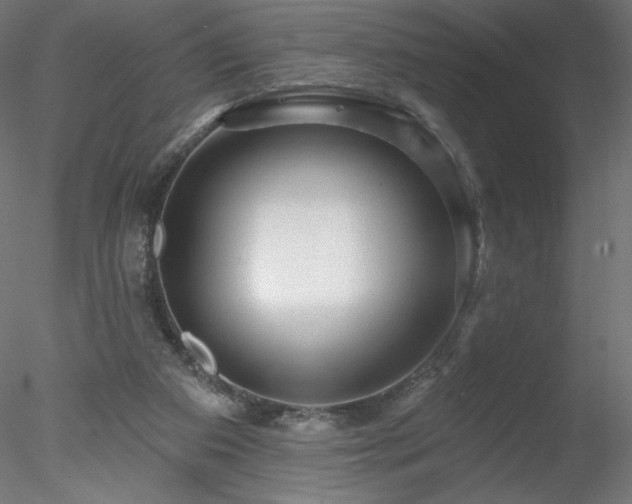 X0000078270113200611031152