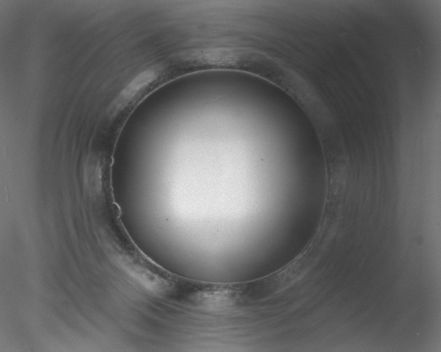 X0000078270120200611031152