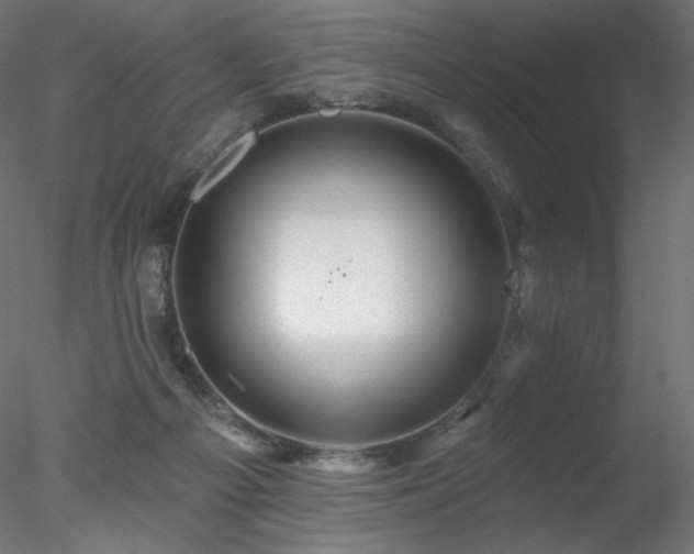 X0000078270121200611031152