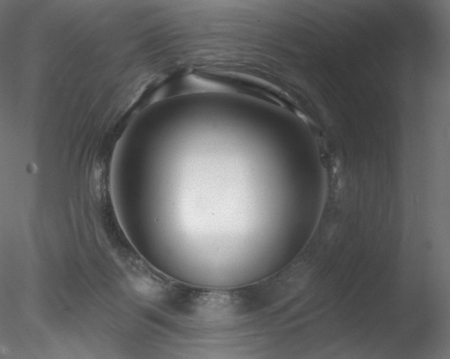 X0000078270123200611031152