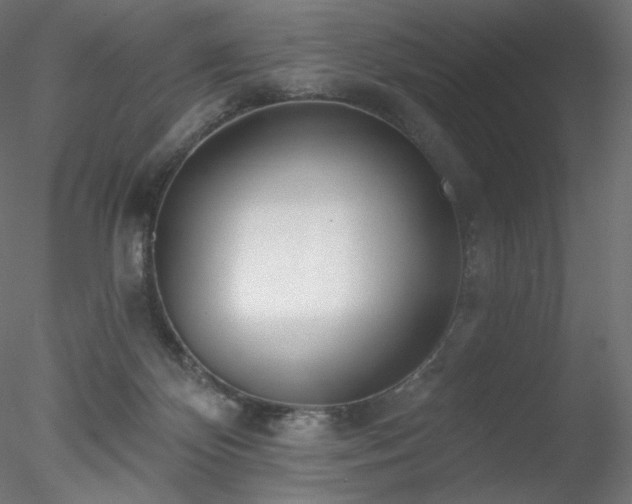 X0000078270124200611031152
