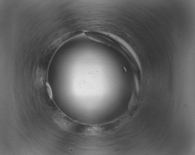 X0000078270125200611031152