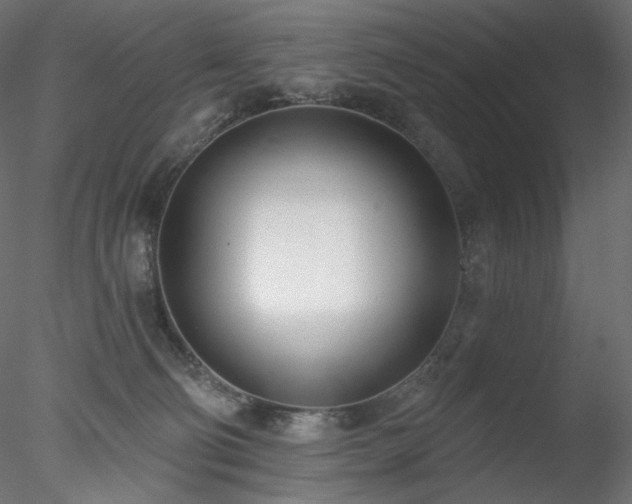 X0000078270130200611031152
