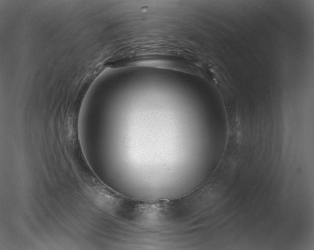 X0000078270131200611031152
