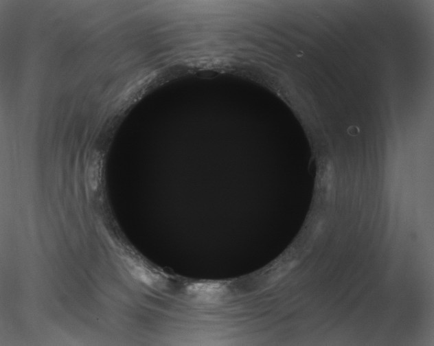 X0000078270133200611031152