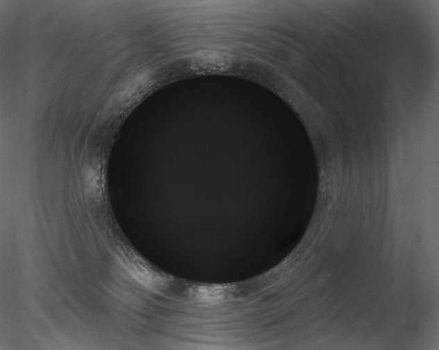 X0000078270134200611031152