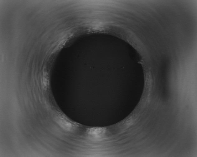 X0000078270135200611031152