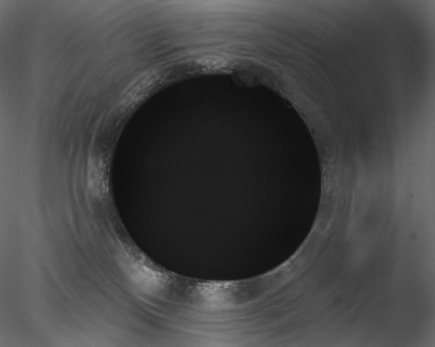 X0000078270136200611031152