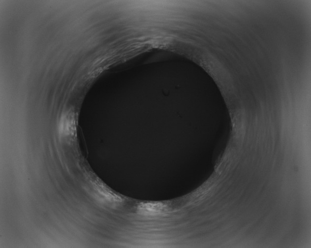 X0000078270137200611031152