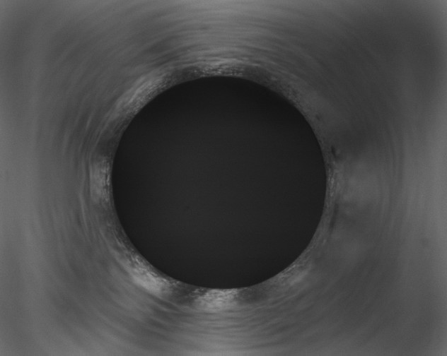 X0000078270138200611031152