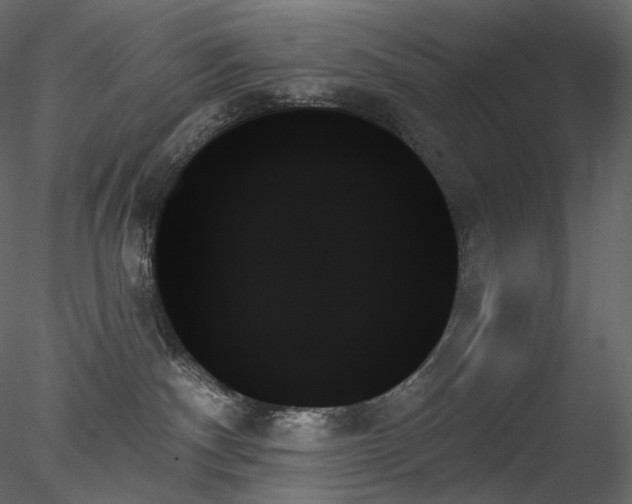 X0000078270140200611031152