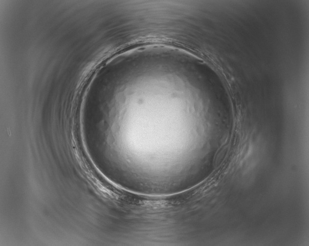 X0000078270145200611031151
