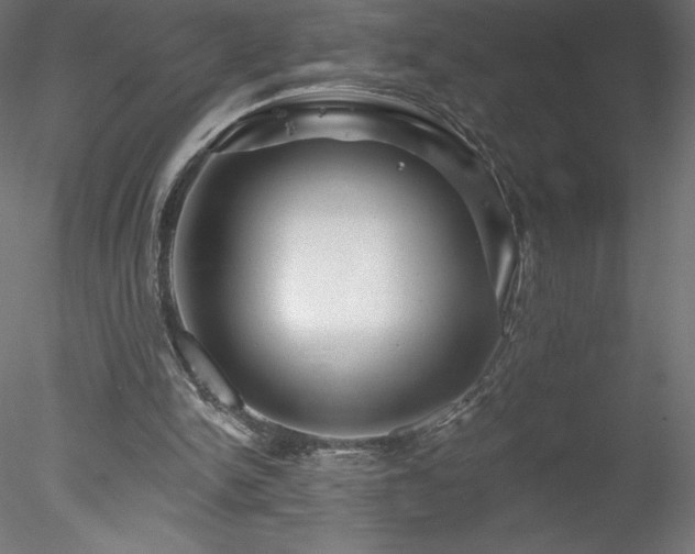 X0000078270150200611031151