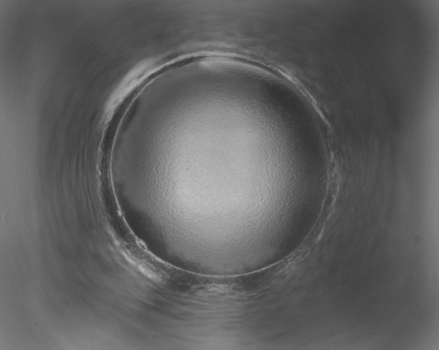 X0000078270151200611031151