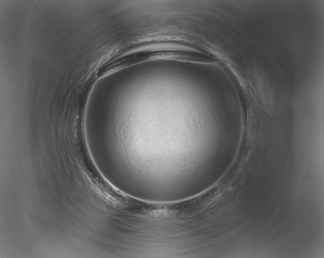 X0000078270153200611031151