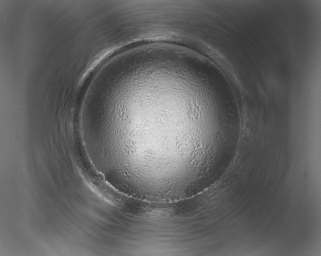 X0000078270155200611031151