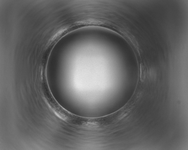 X0000078270157200611031151