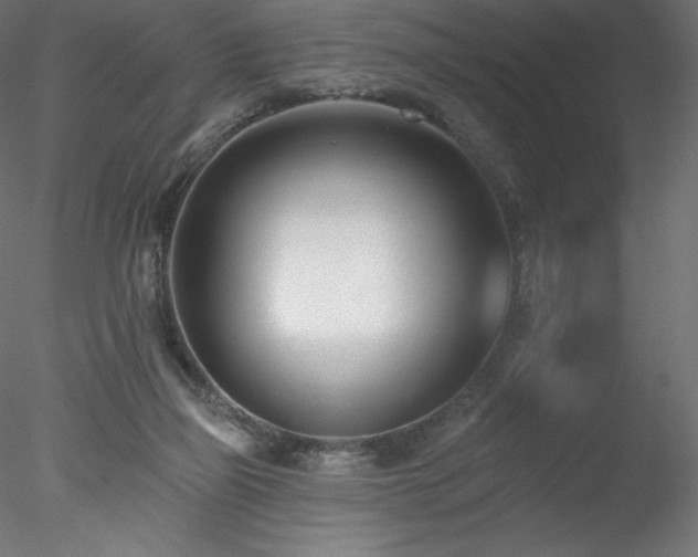 X0000078270165200611031151