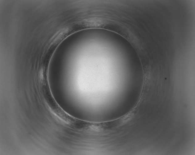 X0000078270166200611031151