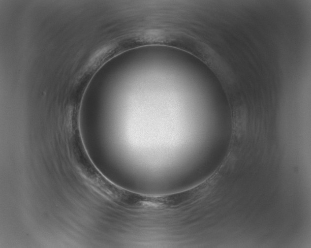 X0000078270167200611031151