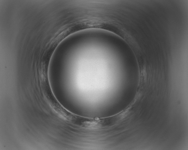 X0000078270170200611031152