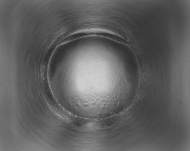 X0000078270171200611031152